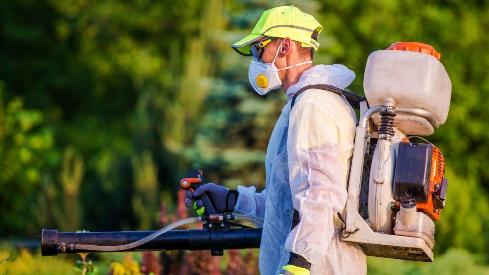 dubaiclean.ae pest control services in dubai