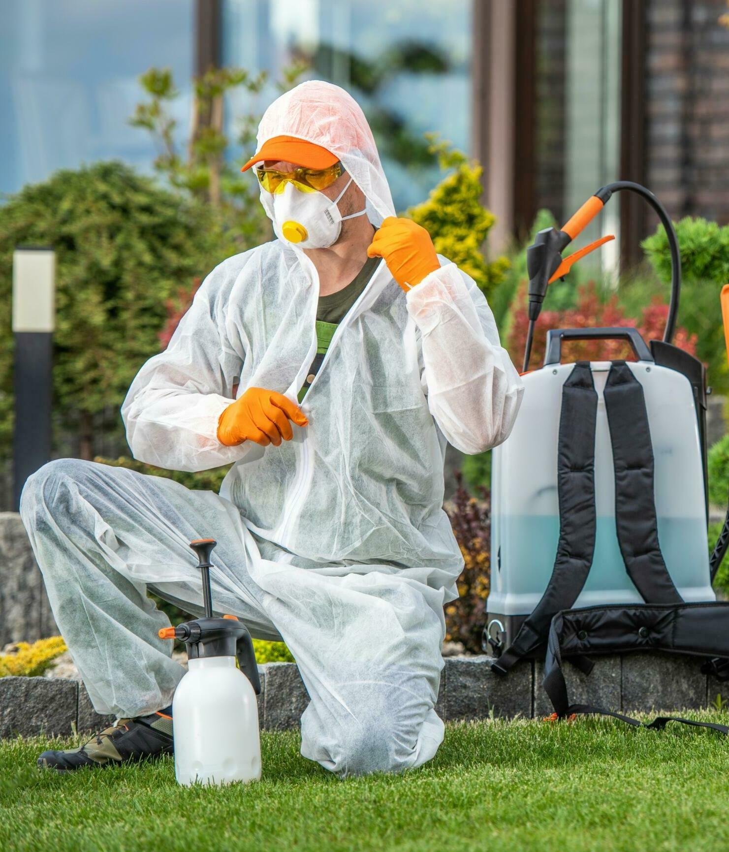 premium pest control services in dubai