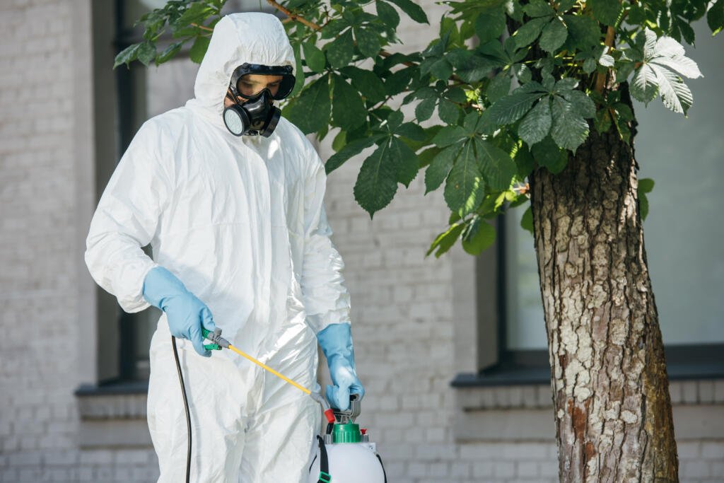 expert pest control services in dubai