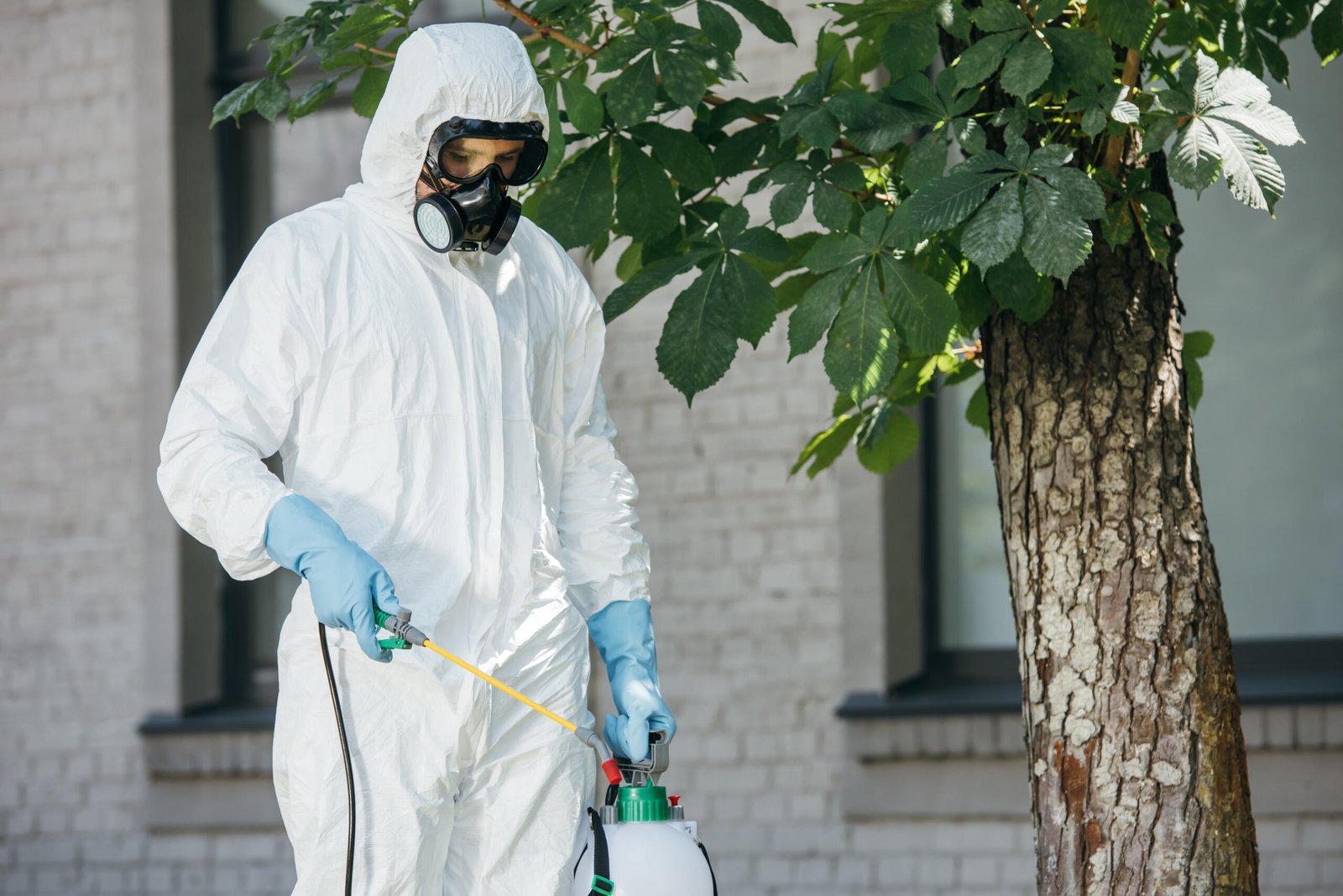expert pest control services in dubai