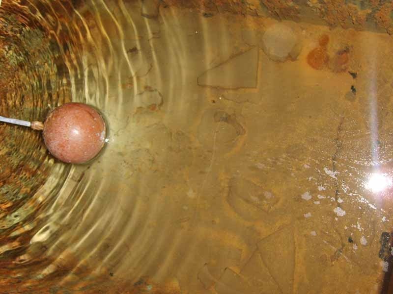 get rid of red worms in water tanks easy guide & tips dubaiclean