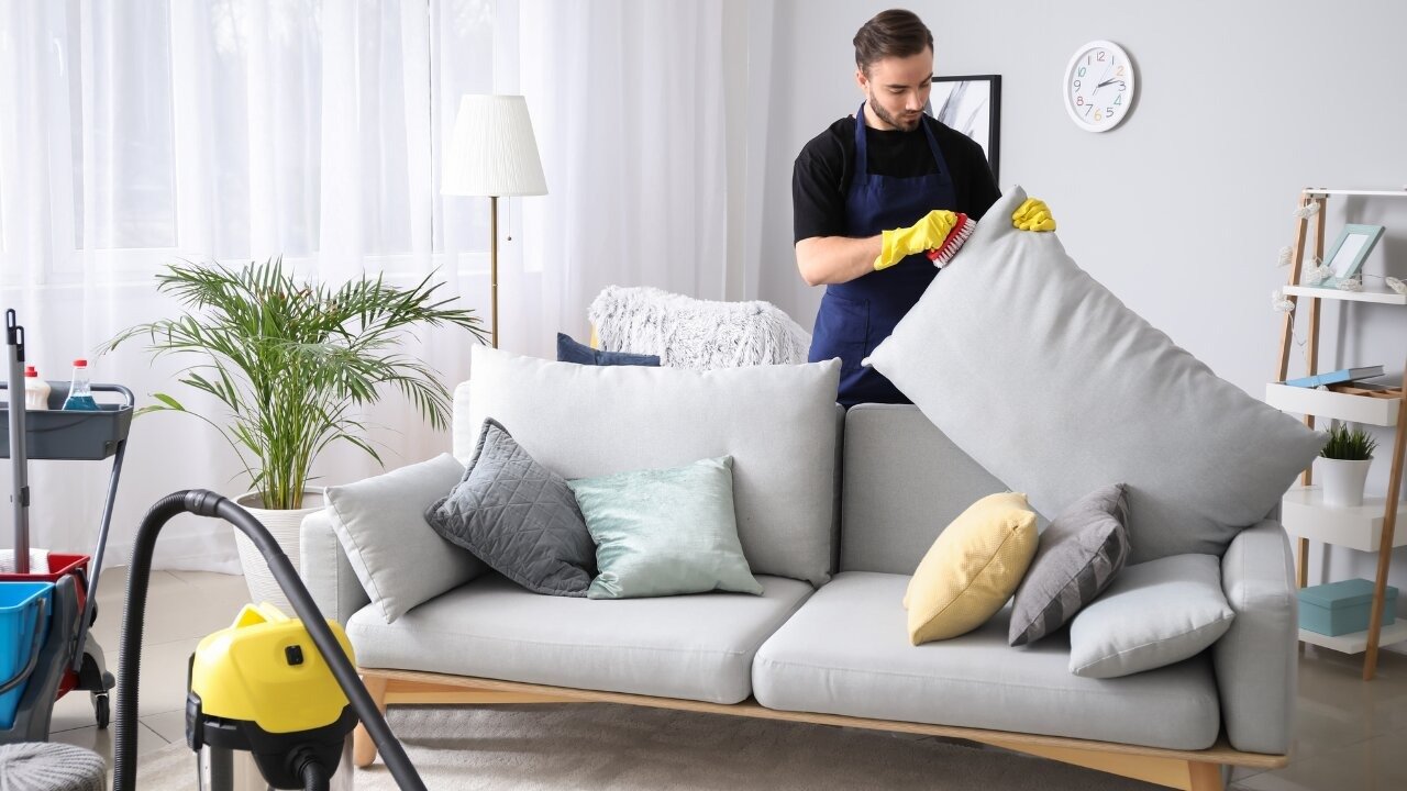 pet friendly upholstery cleaning in dubai